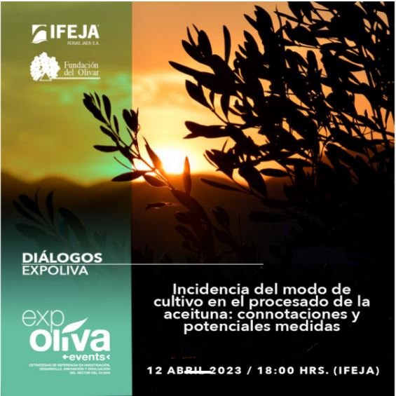 La incidencia del modo de cultivo en el procesado de la aceituna (12 abril 2023)