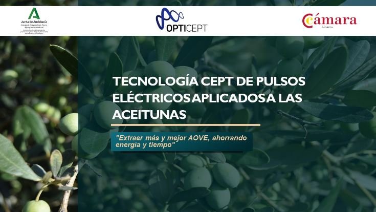 Tecnología CEPT aplicada a la extracción de AOVE  (13 abril 2023)