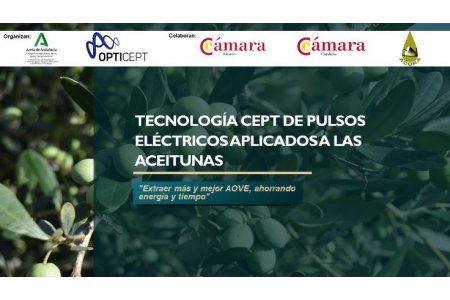 31 MAYO 2023<br>Campo de Pulsos Eléctricos - Más extracción y mejor calidad de AOVE