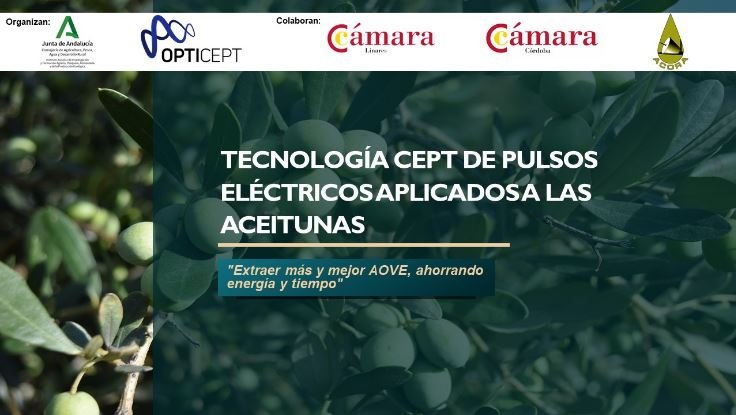 31 MAYO 2023 Campo de Pulsos Eléctricos - Más extracción y mejor calidad de AOVE