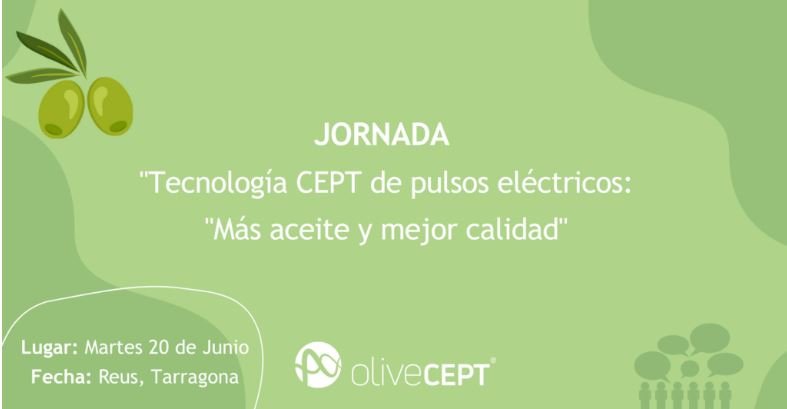 20 JUNIO 2023  Tecnología que moderniza las líneas de extracción de aceite y mejora la calidad