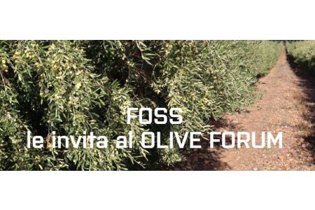 11 ABRIL 2024<br>OliveForum de FOSS