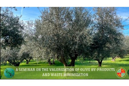 16-20 SEPTIEMBRE 2024<br>Seminario sobre valorización de subproductos del olivo